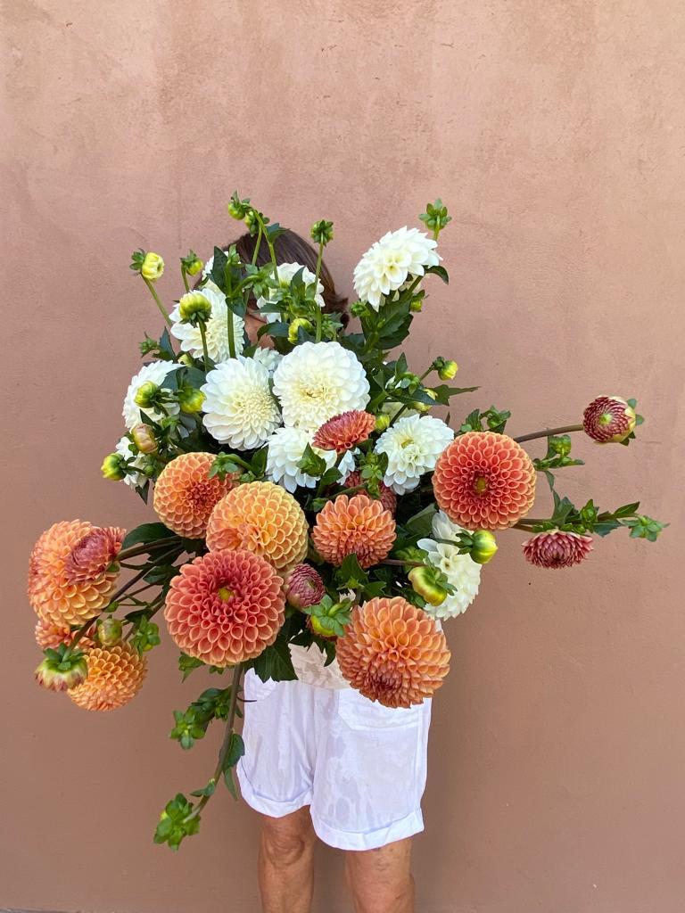 Dahlia Ball