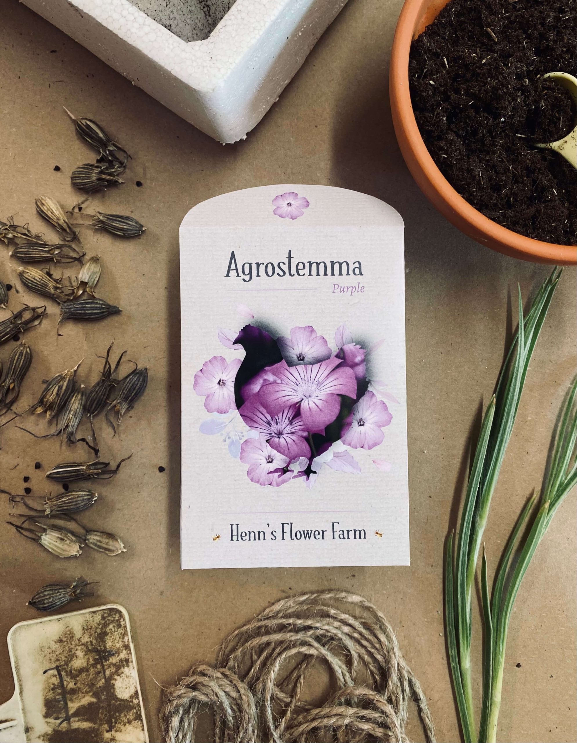 Agrostemma Seeds