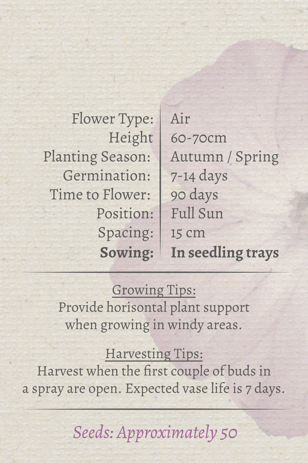 Agrostemma Seeds - Image 2