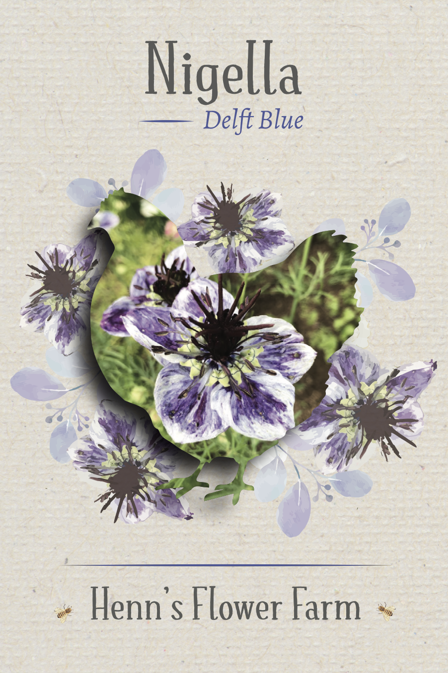 Nigela Seeds - Image 2