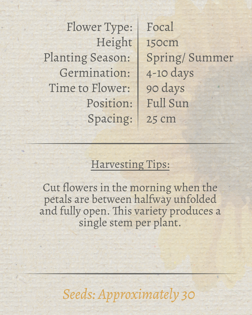 Mixed Sunflower Seeds - Image 3