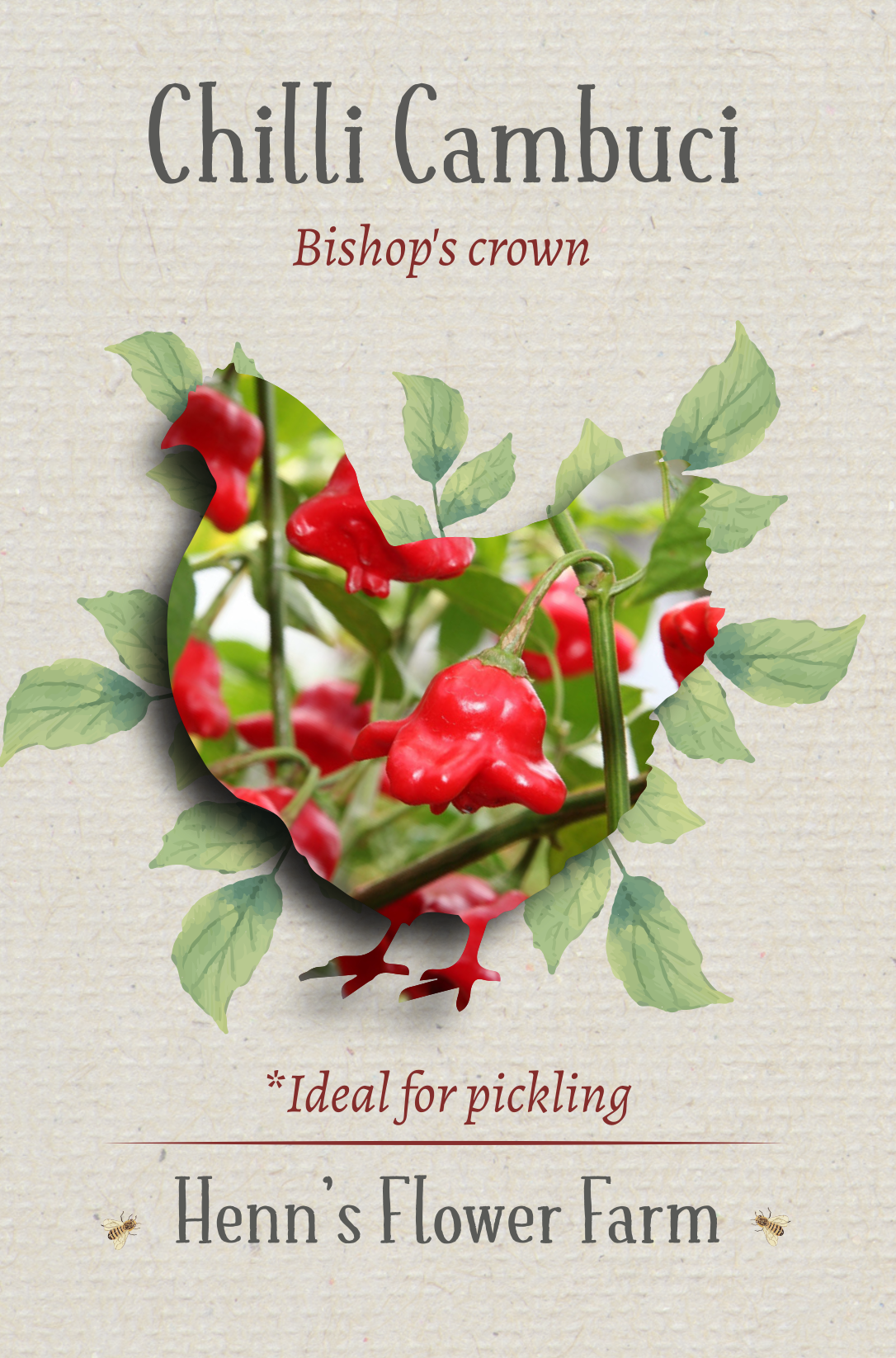 Chilli Camubuci Seeds - Image 2